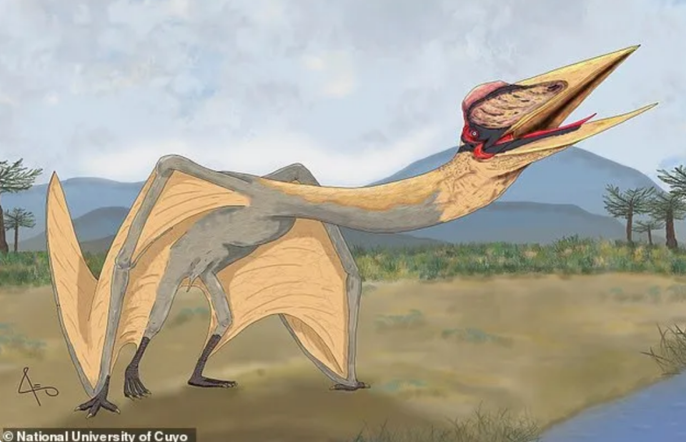 Paleontologists in Argentina have unearthed fossils of a new species of pterosaur called "The Dragon of Death."