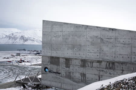 International gene bank Svalbard Global Seed Vault (SGSV) near Longyearbyen on Spitsbergen, Norway, October 19, 2015. REUTERS/Anna Filipova