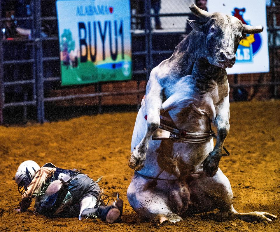 There will be all sorts of thrills and spills at the SLE Rodeo in Montgomery.