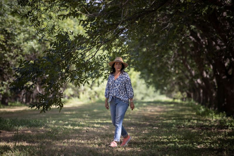 Pecan farmer walks through pecan orchard in Eagle Pass, Texas