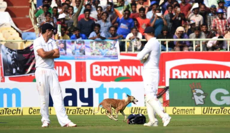 England captain Alastair Cook (left) watches a dog run onto the field during the first day of the second Test against India in Vishakhapatnam on November 17, 2016