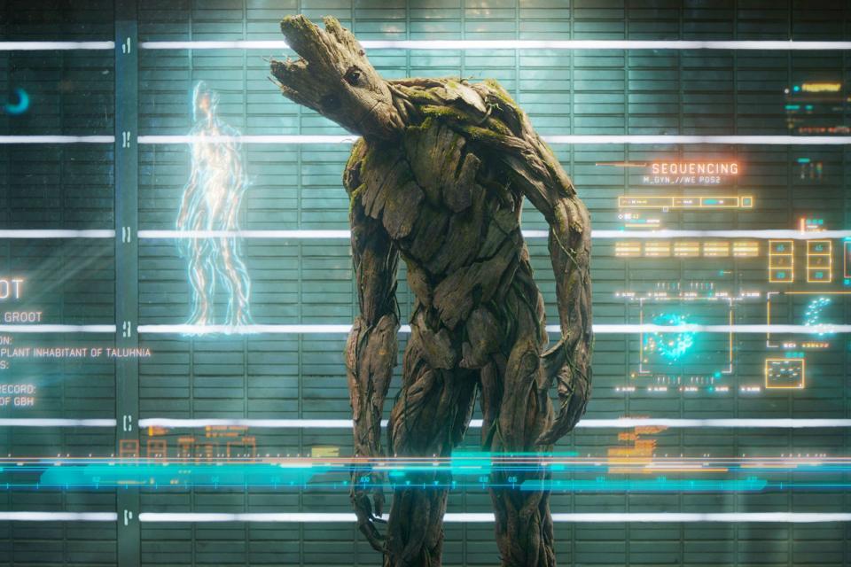 Groot