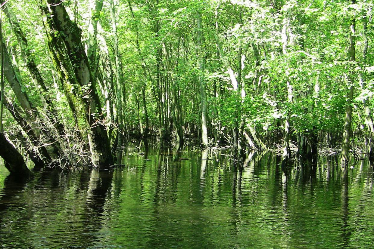 Great Egg Harbor River