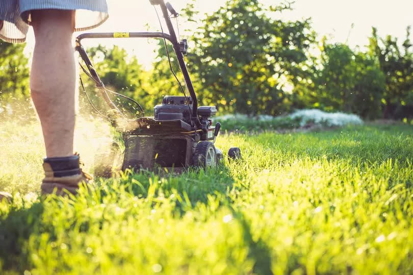 Mowing the lawn