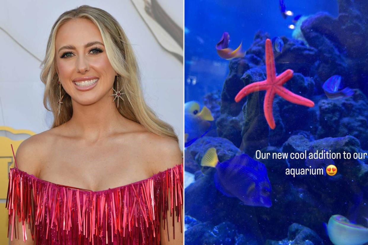 <p>Fernando Leon/Getty; Brittany Mahomes/Instagram</p> Brittany Mahomes pictured alongside her aquarium 