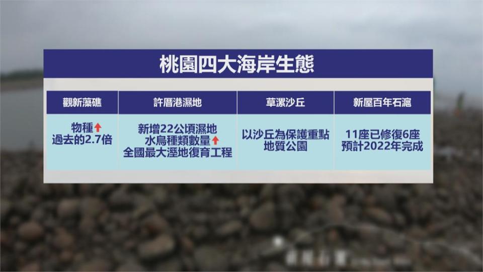 積極保護海岸生態　桃園率全國首之先發表專刊