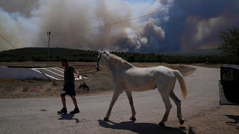 AP Photo/Thanassis Stavrakis