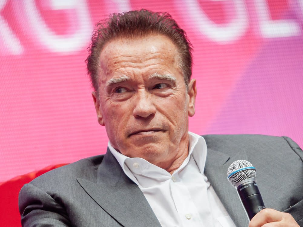 Arnold Schwarzenegger beschreibt bei Instagram, wie er eines seiner Idole kennengelernt hat. (Bild: 2019 Photo_Doc/Shutterstock.com)