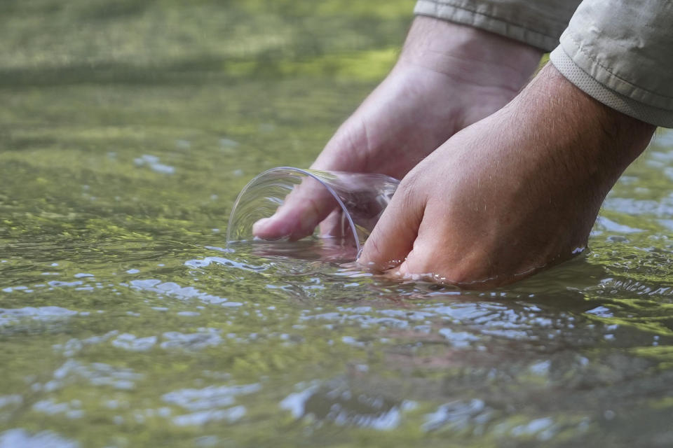 Matthew Wagner, a biologist from the U.S. Fish and Wildlife Service, releases threatened pearl darter fish, which haven't lived in the Pearl River system for 50 years, in the Strong River, a tributary of the Pearl River, in Pinola, Miss., Monday, July 31, 2023. Wildlife experts say a number of pollution and habitat problems likely contributed to the disappearance of the pearl darter from the Pearl River system. (AP Photo/Gerald Herbert)