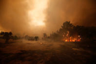 <p>Flames of an approaching forest fire are seen in the village of Carvoeiro, near Castelo Branco, Portugal, July 25, 2017. (Rafael Marchante/Reuters) </p>