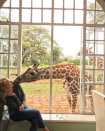 <p>Diese Giraffe hatte Naomi Watts zum knutschen gern… (Bild: Instagram.com/Naomi Watts) </p>