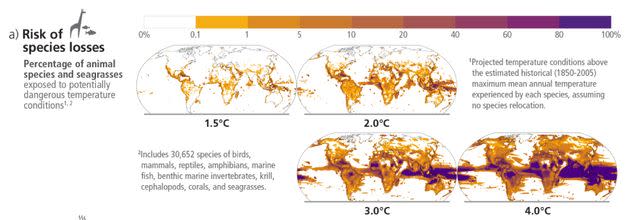 Risks will be felt keenly among ocean species, those living in tropical bands and the planet's poles.