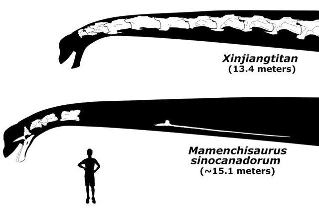 comparison with Xinjiangtitan