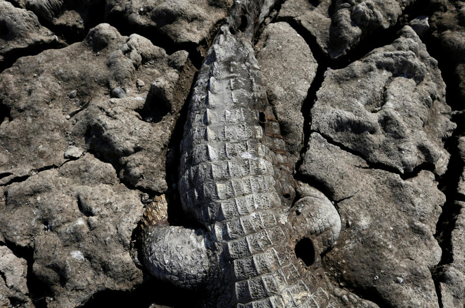 A slow death along the Pilcomayo River