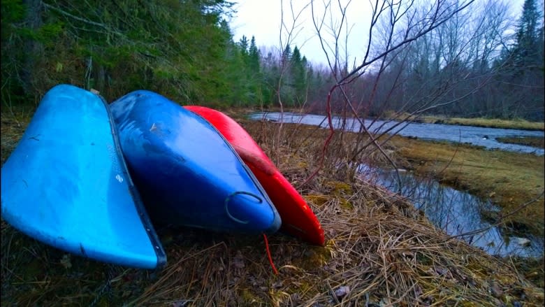 Paddle your way to remote N.B. wilderness areas while rivers run high