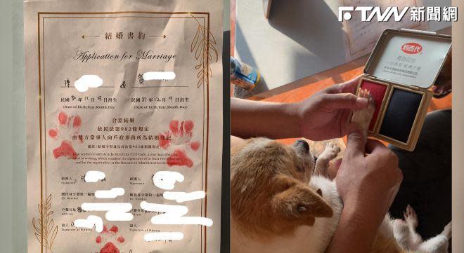 一名網友日前和丈夫正式登記結婚，小倆口找來3隻愛犬擔任「最佳見證人」。（圖／有點毛毛的 臉書）