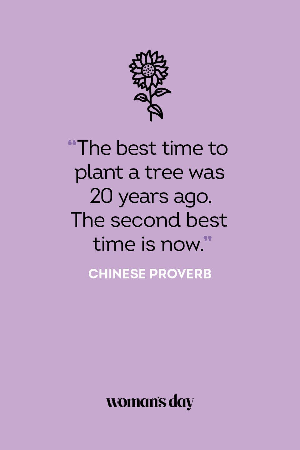 Chinese Proverb