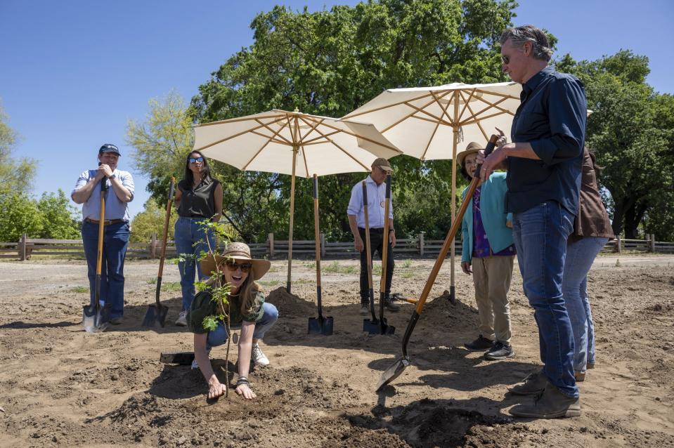 Gov. Gavin Nerwsom and first partner Jennifer Siebel Newsom plant a valley oak during the dedication for the new Dos Rios State Park in the Central Valley near Modesto, Calif., Monday, April 22, 2024. (Paul Kitagaki Jr./The Sacramento Bee via AP)