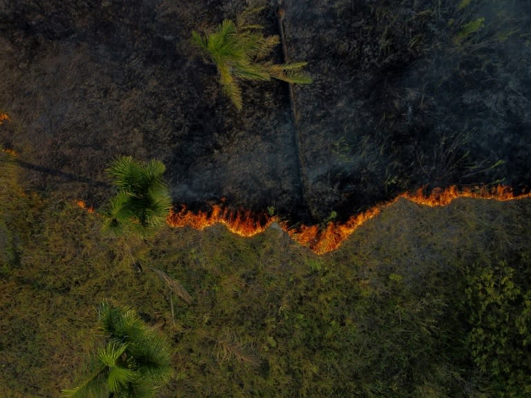 Vue aérienne d'un incendie dans une zone de la forêt amazonienne à Iranduba, dans l'Etat d'Amazonas, le 5 septembre 2023 au Brésil (Michael Dantas)