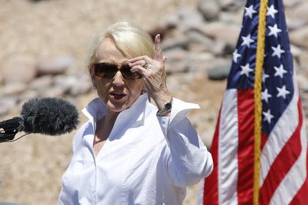 Arizona Governor Jan Brewer speaks to the media at the Nogales Border Patrol Station in Nogales, Arizona June 25, 2014. REUTERS/Nancy Wiechec