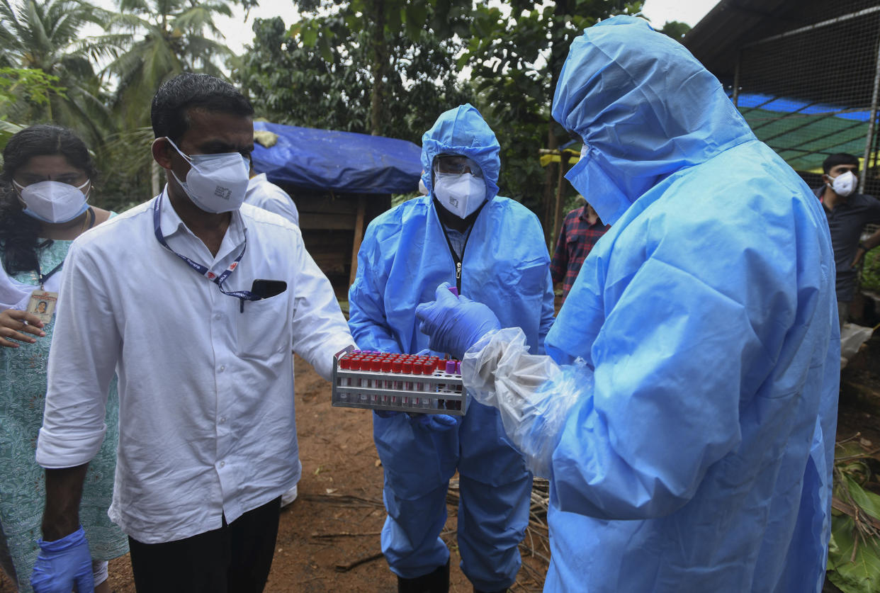 Health workers collect blood samples from goats in the neighborhood for testing after a 12-year-old boy died of the Nipah virus in Kozhikode, Kerala state, India, Tuesday, Sept.7, 2021. The southern Indian state is quickly ramping up efforts to stop a potential outbreak of the deadly Nipah virus, even as it continues to battle the highest number of coronavirus cases in the country. (AP Photo/Shijith. K)