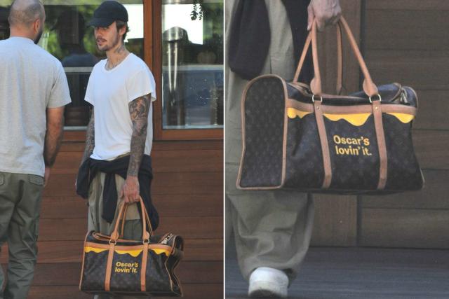 Reeeallly?The Louis Vuitton Inspired Doggie Bag