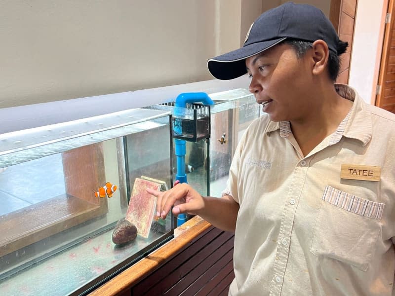 Marine biologist Tatee Sutadra runs a clownfish project at the Marine Discovery Centre at the SAii Phi Phi Island Village resort in Koh Phi Phi Don, a Thai island. Carola Frentzen/dpa