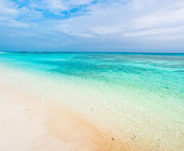 Clear Blue Tropical Water And White by Ippei Naoi