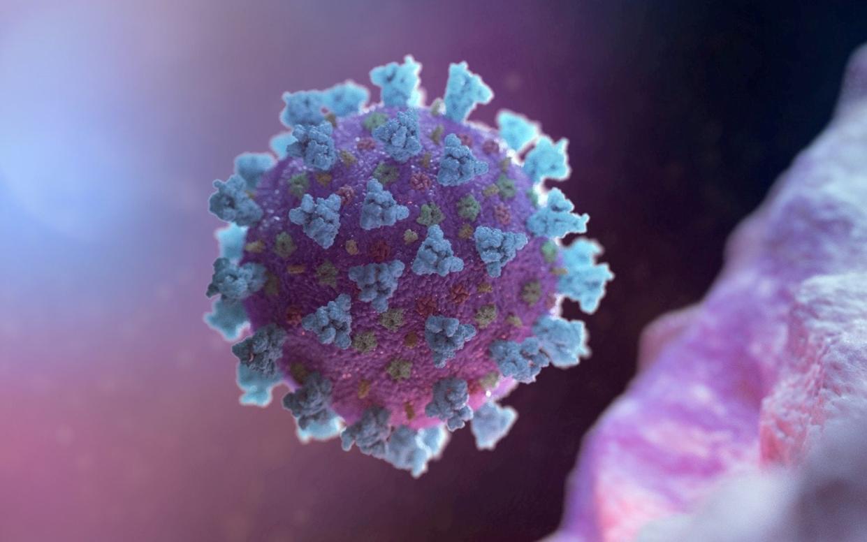 Covid-19 virus - Reuters