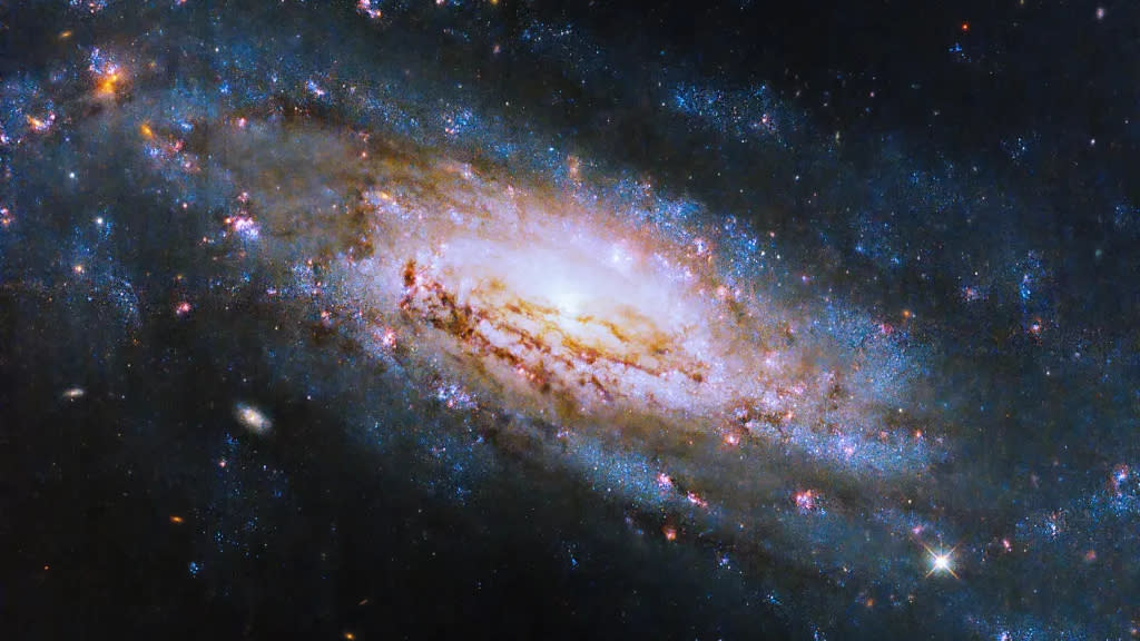  A swirling spiral galaxy enriches the blackness of space with shades of blue from stars shining in its arms, and hues of pink and orange near the center. 