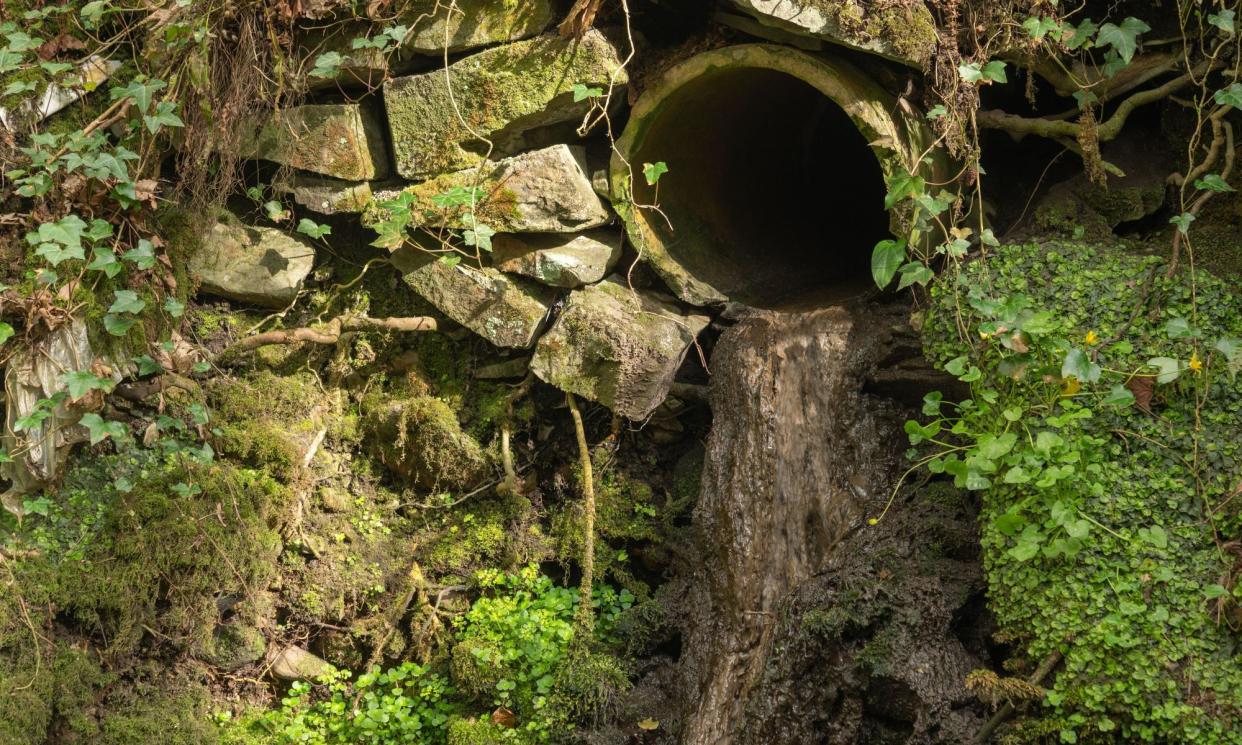 <span>Last year, water companies were ordered to cut more than £100m from customers’ bills after repeated failures to stop sewage pollution.</span><span>Photograph: Camera Lucida Environment/Alamy</span>