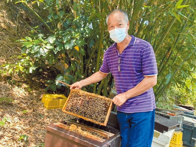 新竹縣湖口鄉蜂蜜產銷班第1班長劉興奎，養蜂20餘年，仍醉心鑽研於研究蜜蜂。（莊旻靜攝）