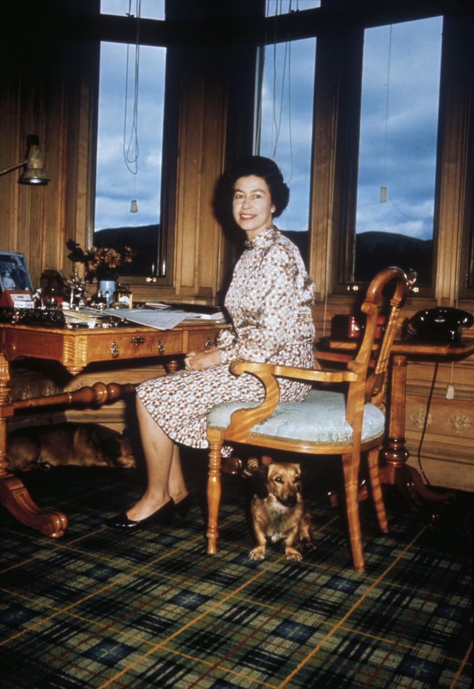 1972: Queen Elizabeth II with her dogs in her study in 1972.