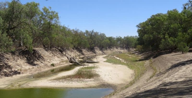 澳洲最大河川大令河(Darling River)流域，因為烈日乾旱嚴重導致部分地區逐漸乾涸。(@saveourdarling)