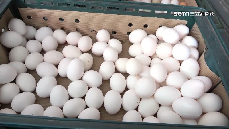 菜市場購買的散蛋，應挑選蛋殼完整且乾淨無髒汙雞蛋。（圖／資料照）