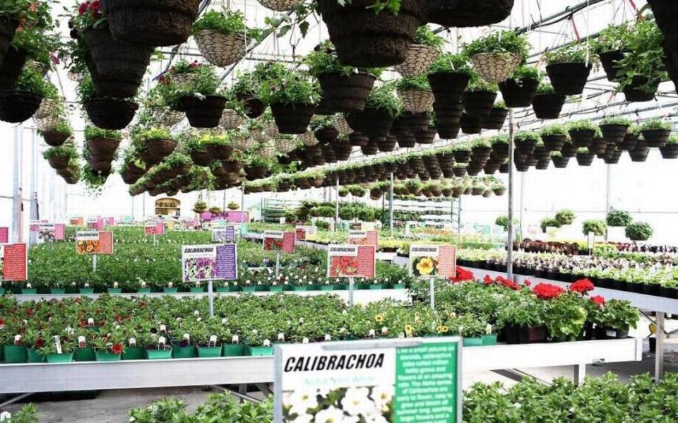 From landscaping products and houseplants to garden necessities and home decor, Beaver Bark has everything you need under one roof.