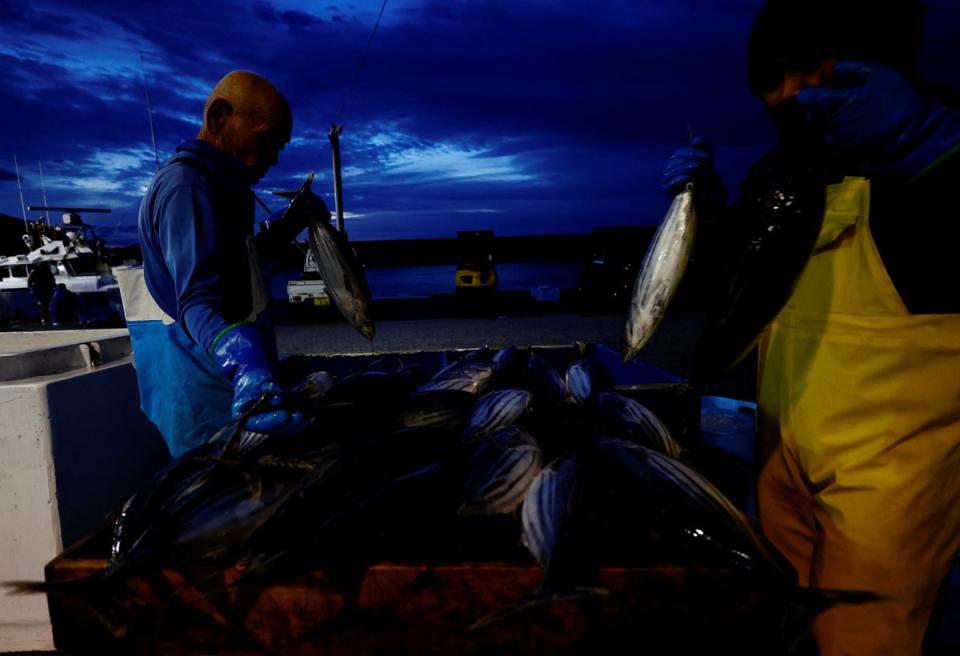 Workers prepare katsuo (skipjack tuna) before a wholesale auction at Kure Port, Japan (Reuters)