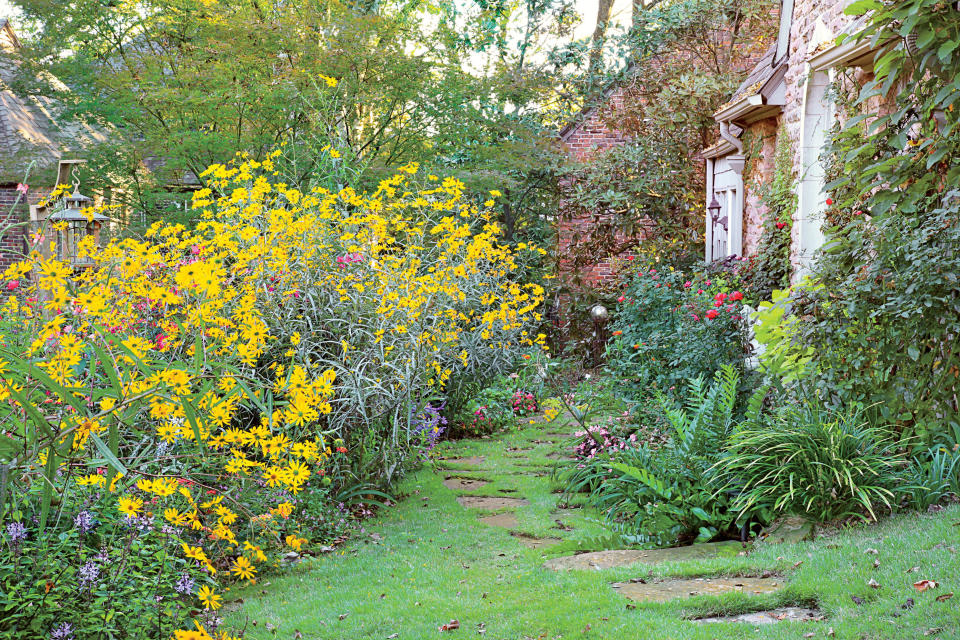 The Back Garden