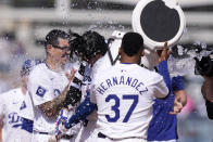 Los Angeles Dodgers' Shohei Ohtani, second from right is hit with a bucket of ice and water by Teoscar Hernandez after Ohtani hit a walk-off single during the 10th inning of a baseball game against the Cincinnati Reds Sunday, May 19, 2024, in Los Angeles. The Dodgers won 3-2. (AP Photo/Mark J. Terrill)