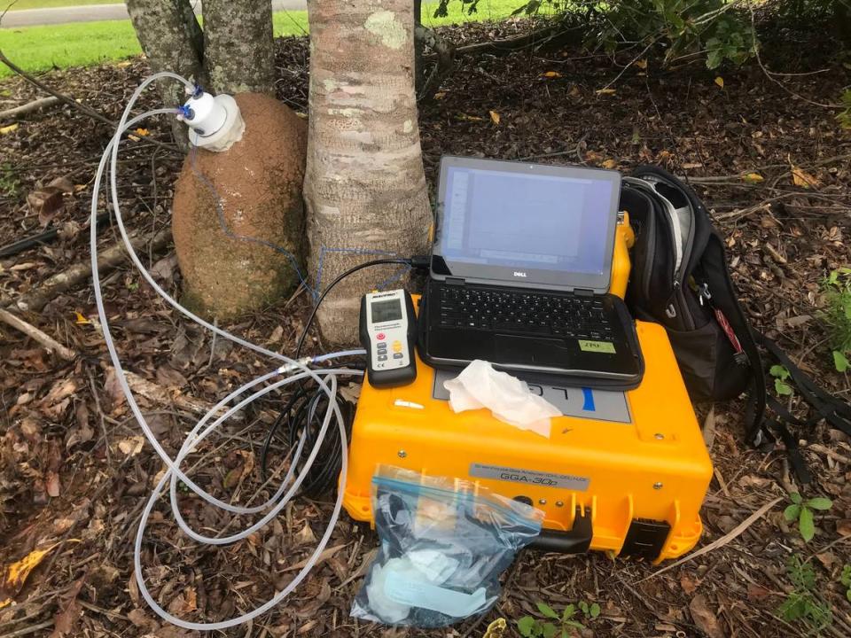 Setup for measuring carbon dioxide and methane from termite mounds.