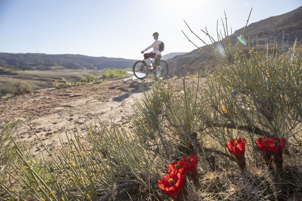 Person mountain biking in a desert area