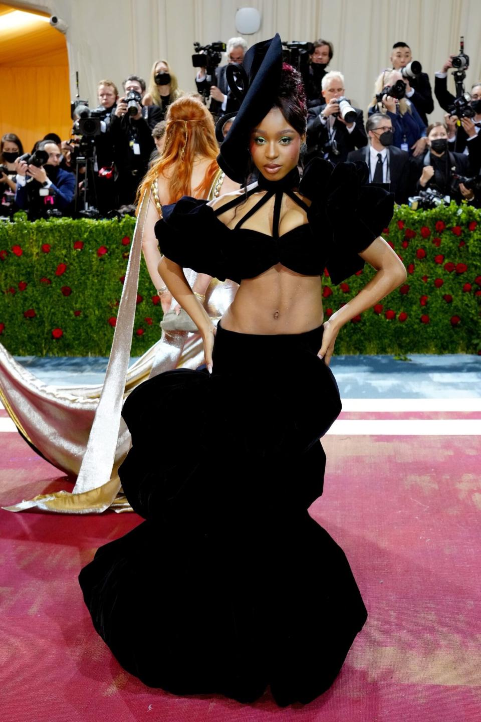 Met Gala Red Carpet 2022