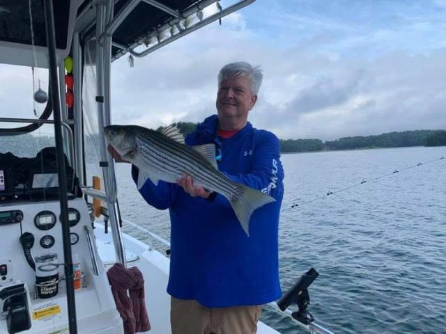 Saving Stripers: What a New Study at Smith Mountain Lake Could Uncover