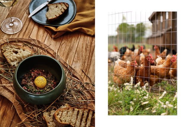 &lt;p&gt;Courtesy of Auberge Resorts Collection&lt;/p&gt; From left: Beef tartare with egg yolk, shiso, and sourdough bread at Clay restaurant; chickens on the property.