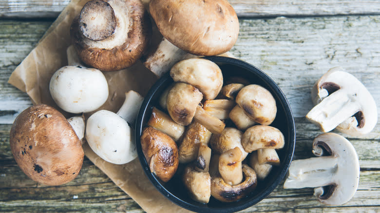 Different types of mushrooms