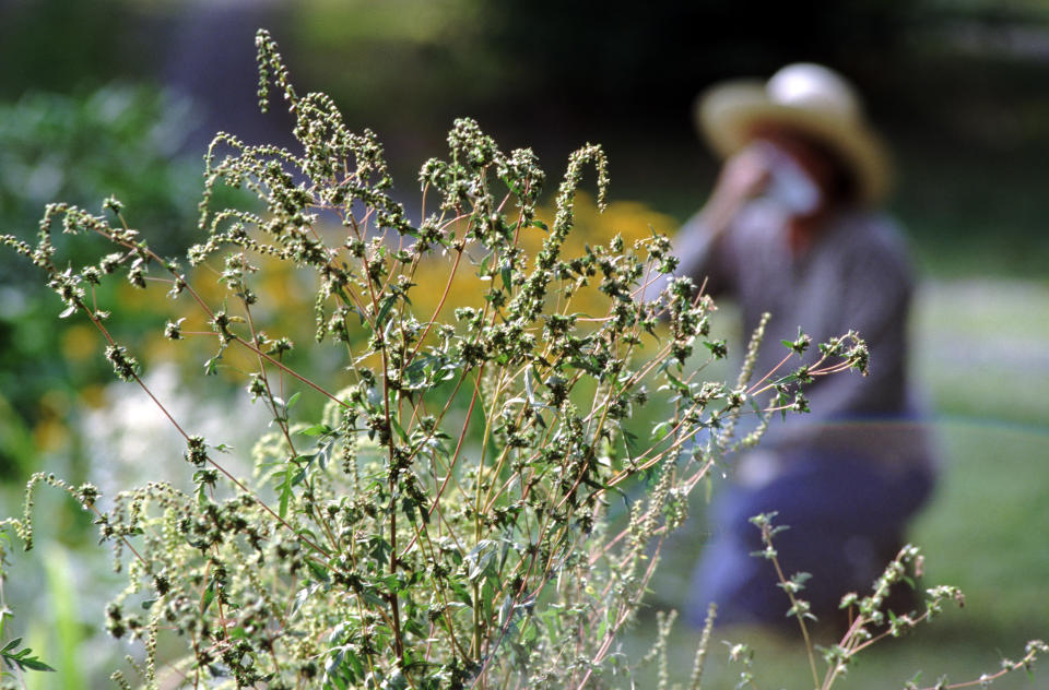 Experts say face masks reduce exposure to pollen and could reduce allergy symptoms. (Photo: Getty)