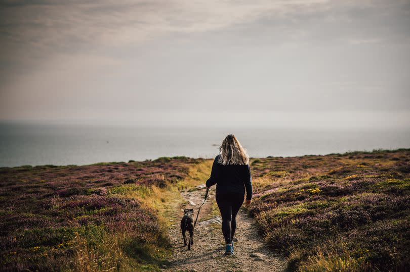 Dog walker on the Isle of Anglesey Coastal Path