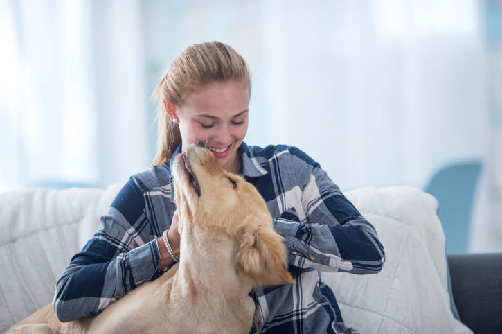 Al jugar con tu perro, tu ropa se llena rápidamente sus pelos, y podría ser difícil removerlos. Foto: FatCamera/Getty Images