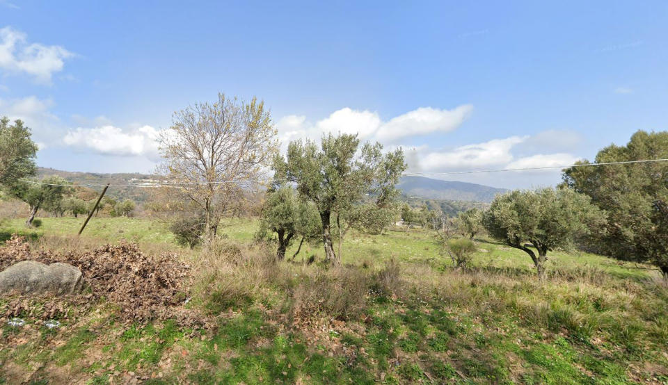 A wooded area near Satriano, Italy, where Simona Cavallaro, 20, died after being mauled by a pack of stray dogs. Source: Google Maps/Newsflash