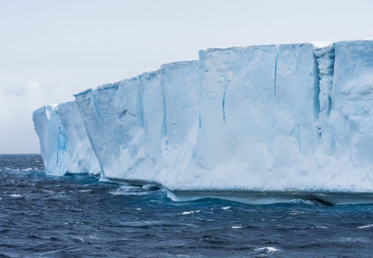 It could end up being one of the biggest bergs ever recorded (Rex)
